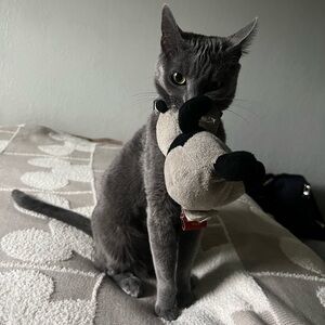 Meet your Posher, Liz